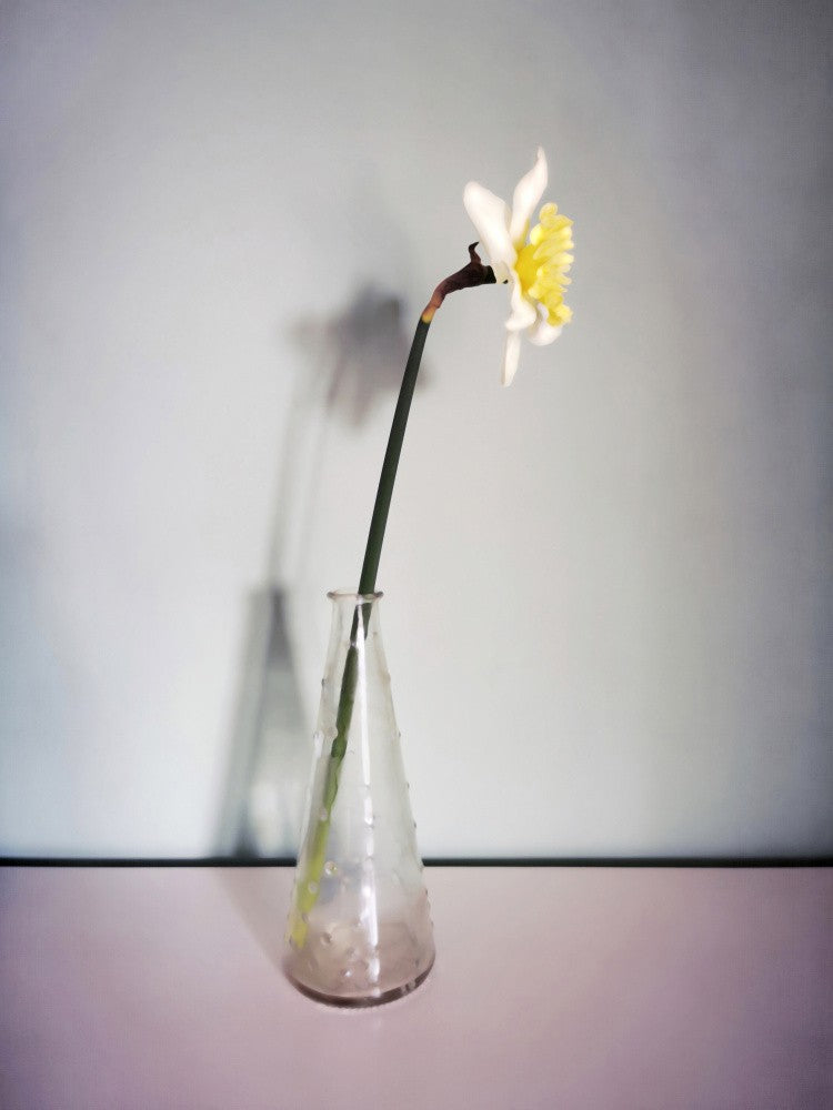 Narciso (14)
