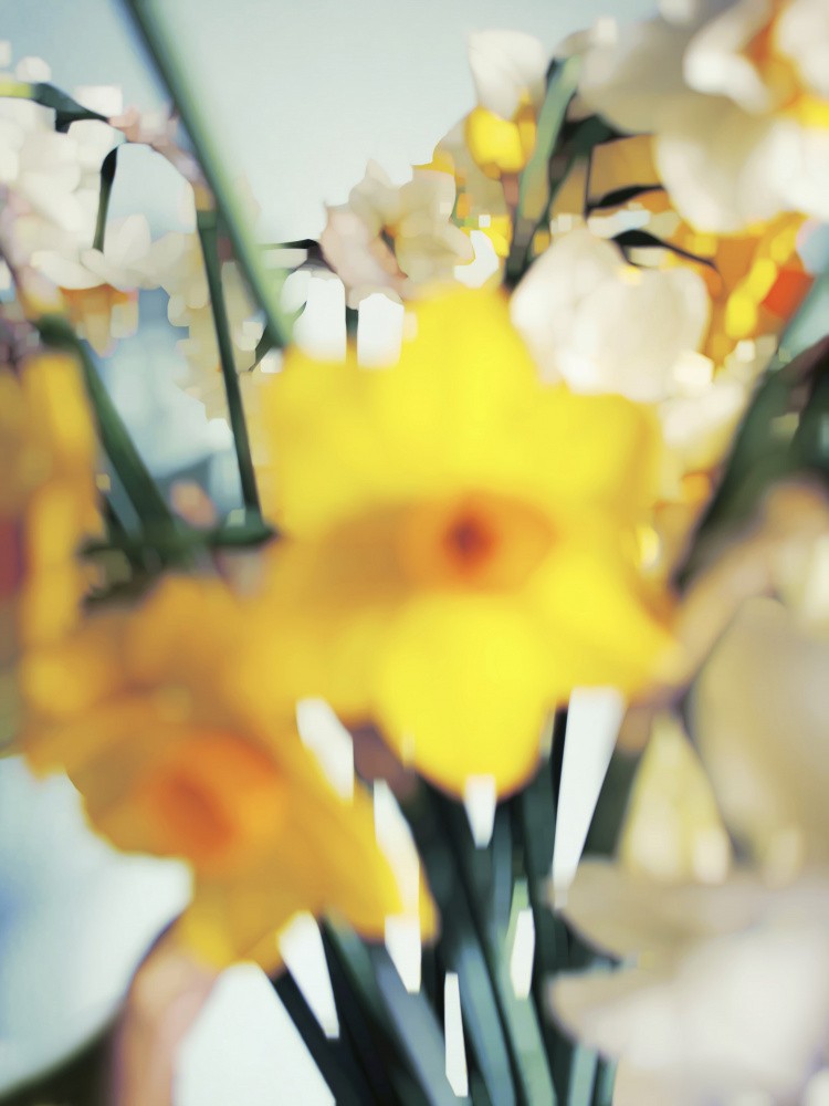 Primavera (2)