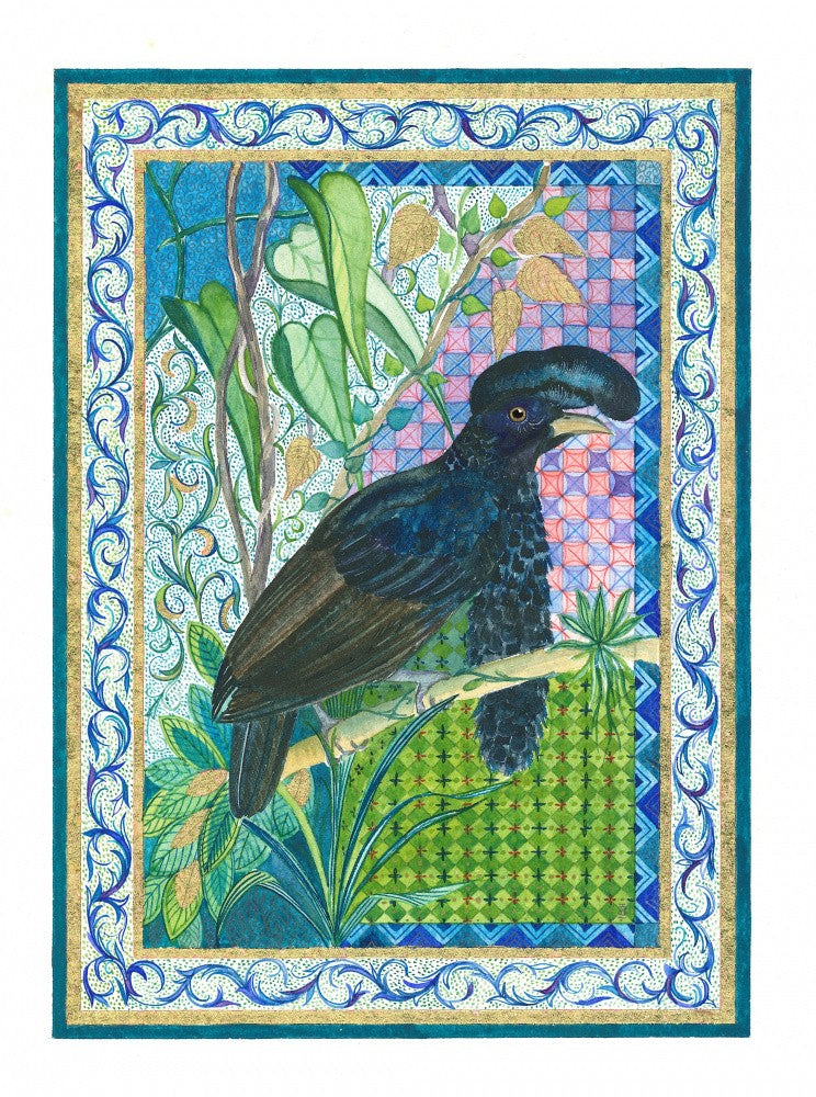 Regenschirmvogel