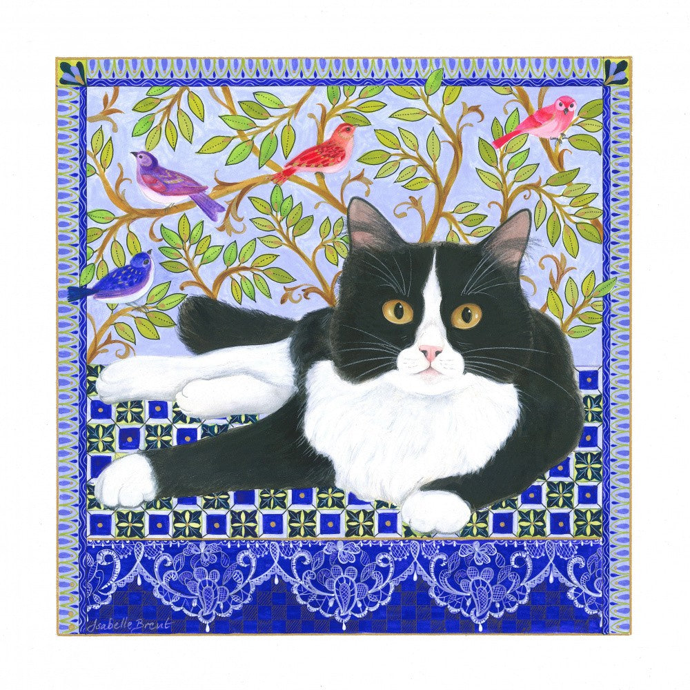 Tuxedo Cat