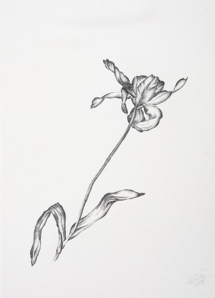 Where Have All the Flowers Gone ..