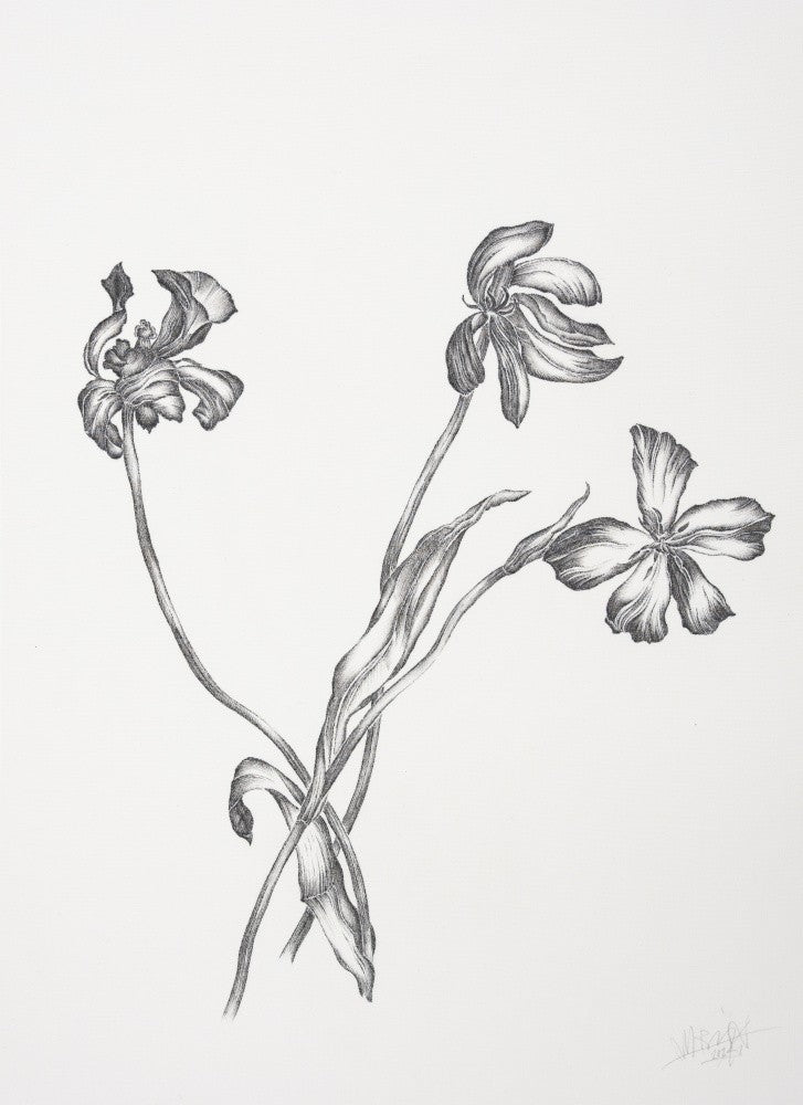 Where Have All the Flowers Gone ..