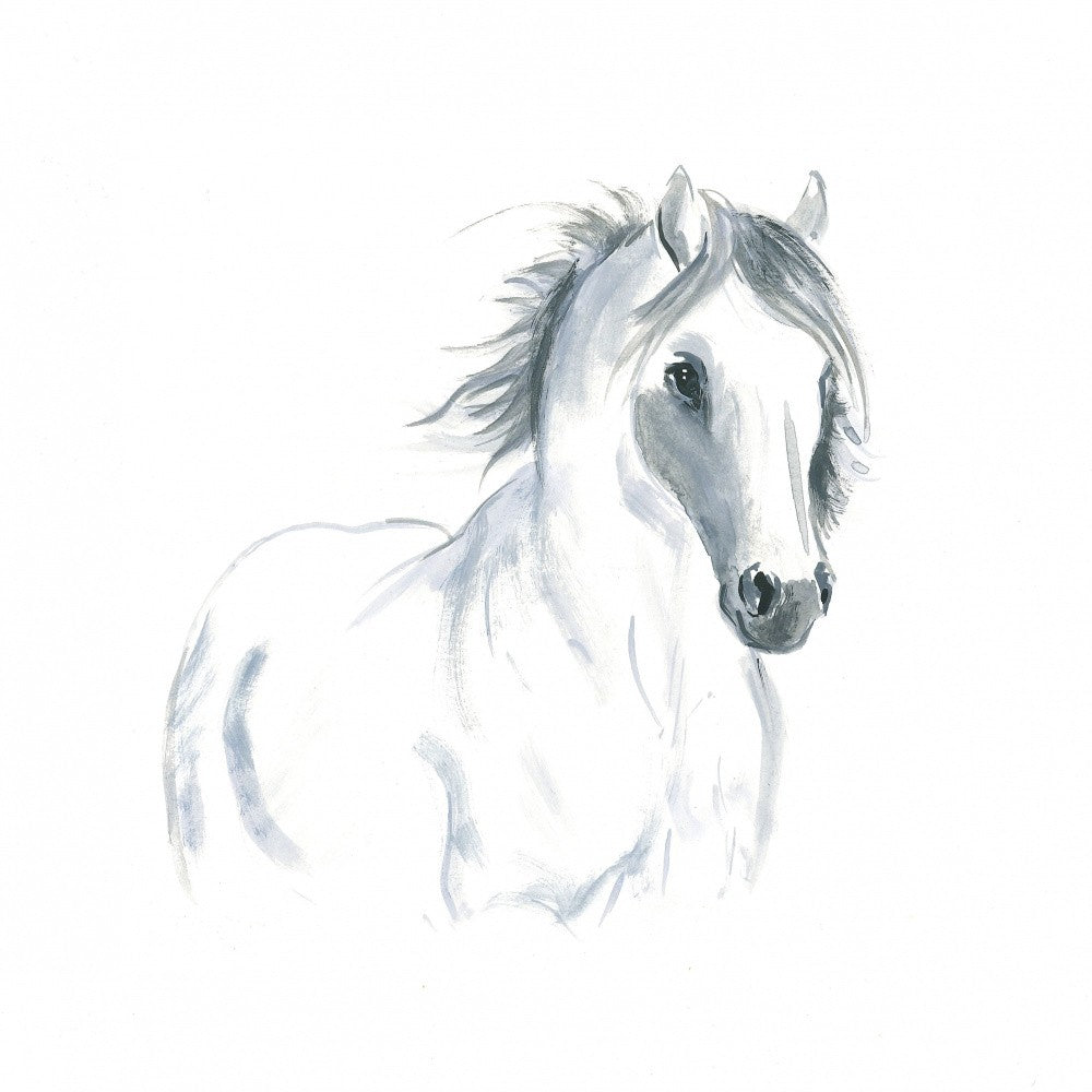 Pferd in Bewegungsstudie