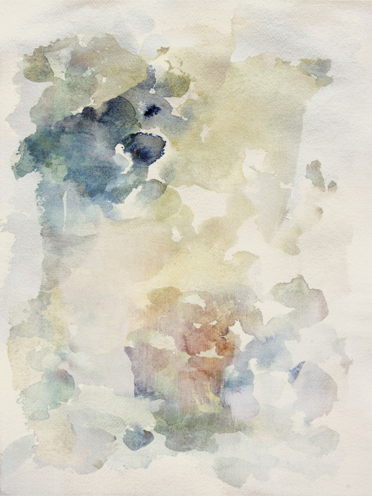 Hydrangea