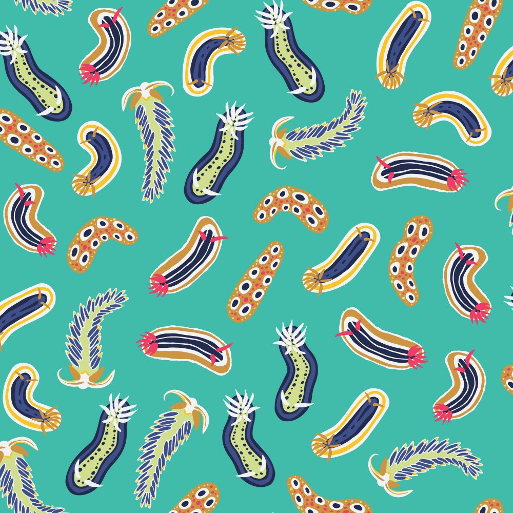 Colorful Nudibranchs Laguna Blue