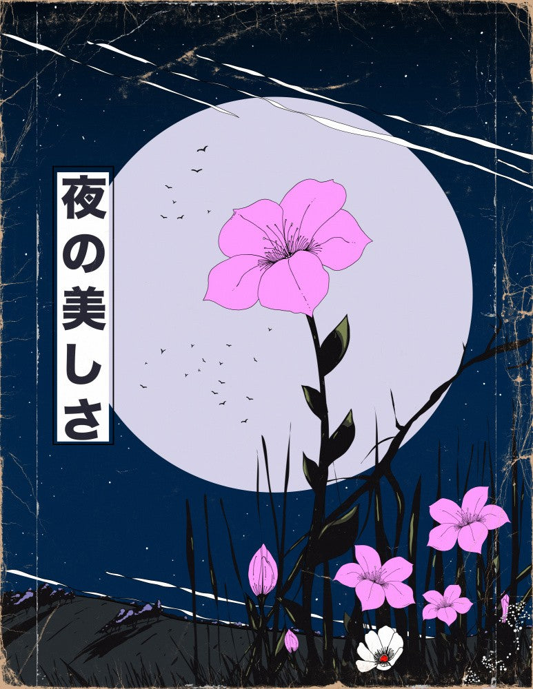 The Beauty of the night