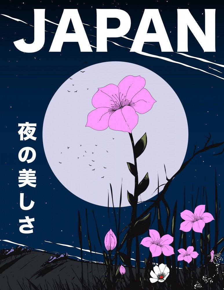 The Beauty of the night Japan