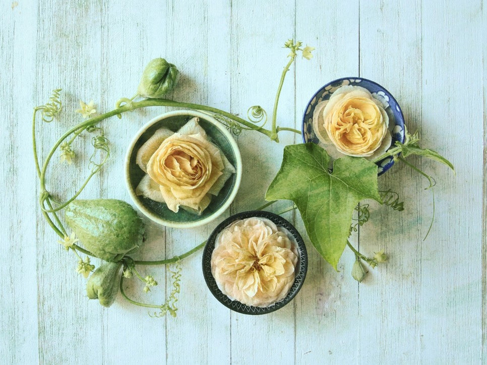 Frozen Roses and Fresh Chayote