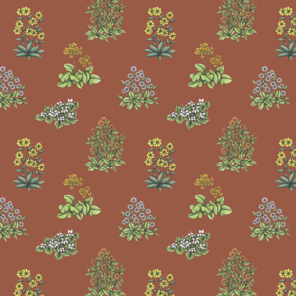 Wild Herbs Garden