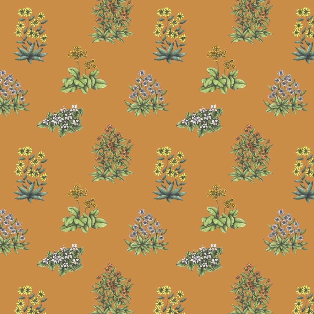 Wild Herbs Garden