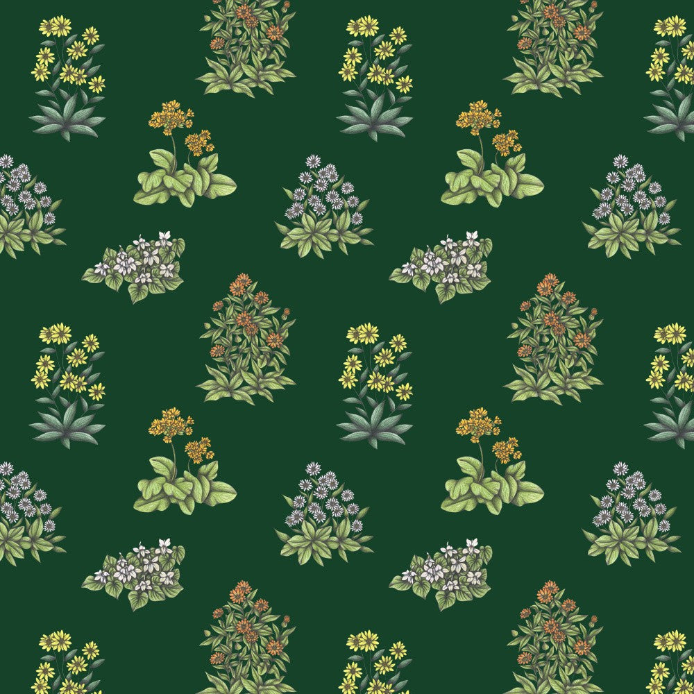 Wild Herbs Garden