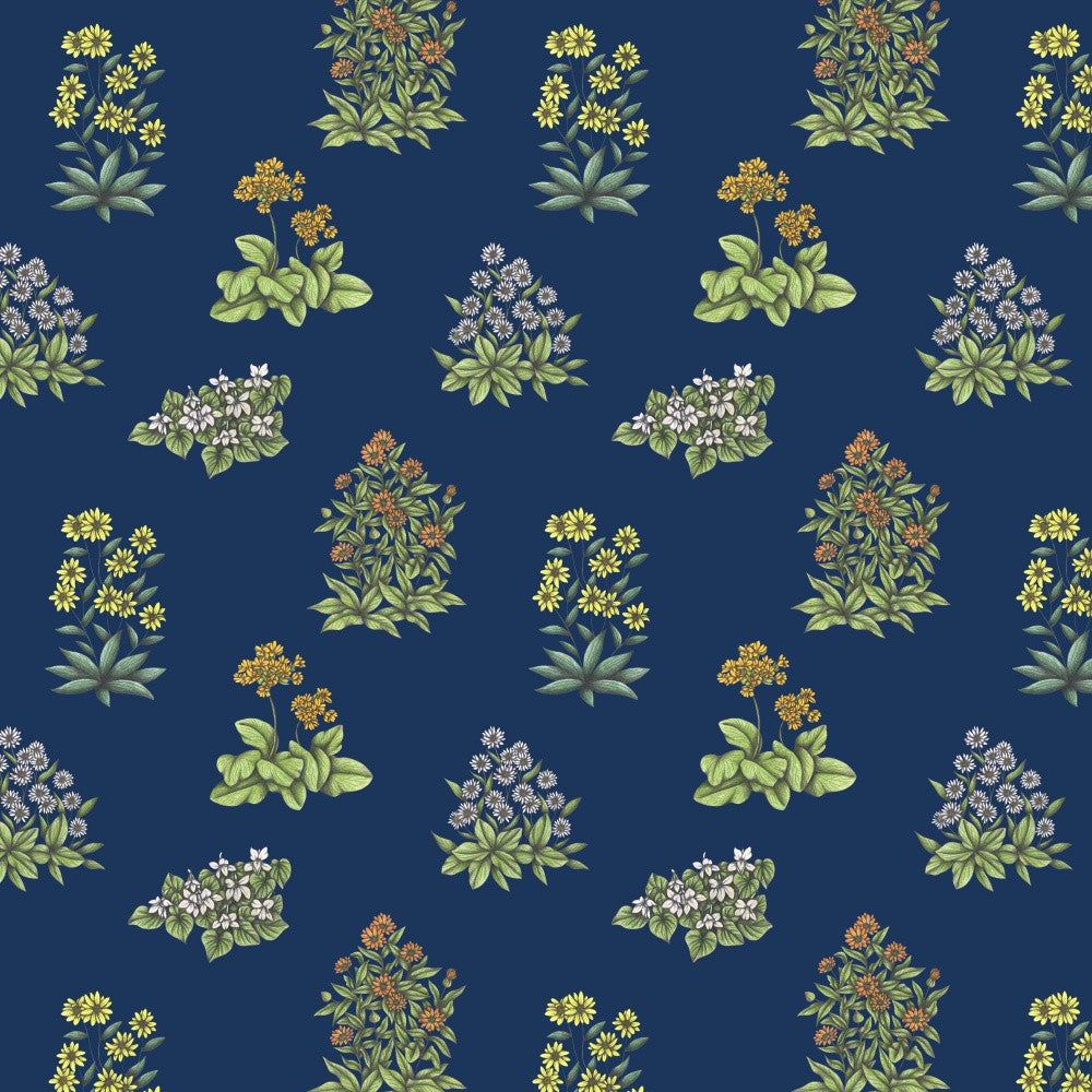 Wild Herbs Garden