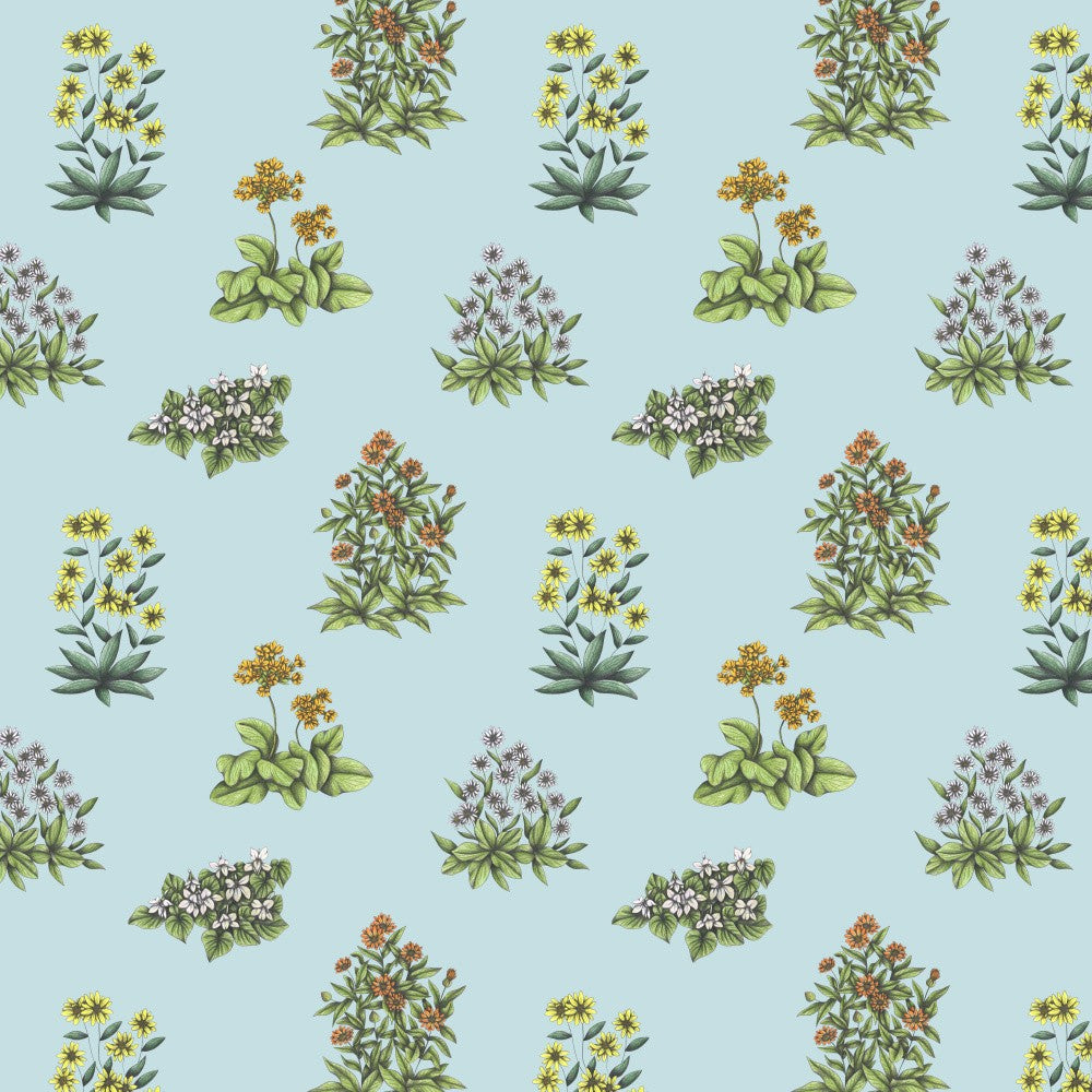 Wild Herbs Garden