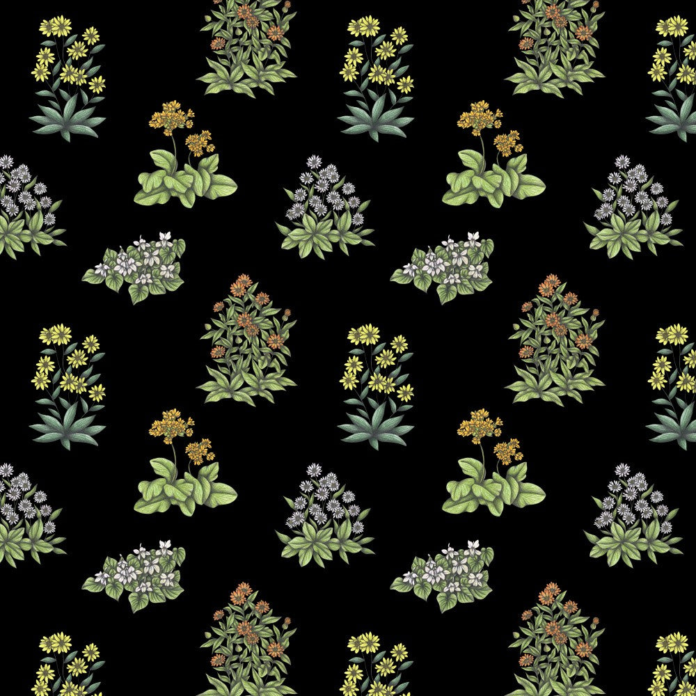 Wild Herbs Garden