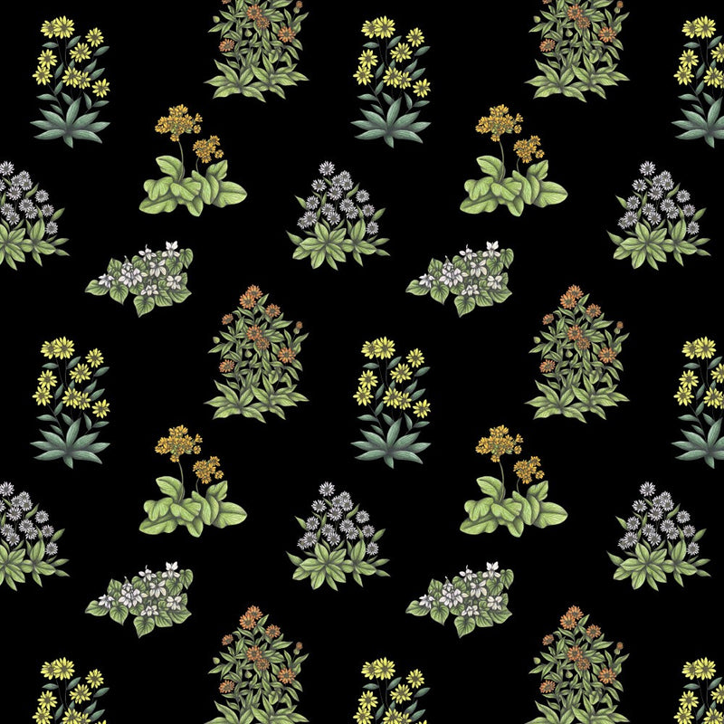 Wild Herbs Garden