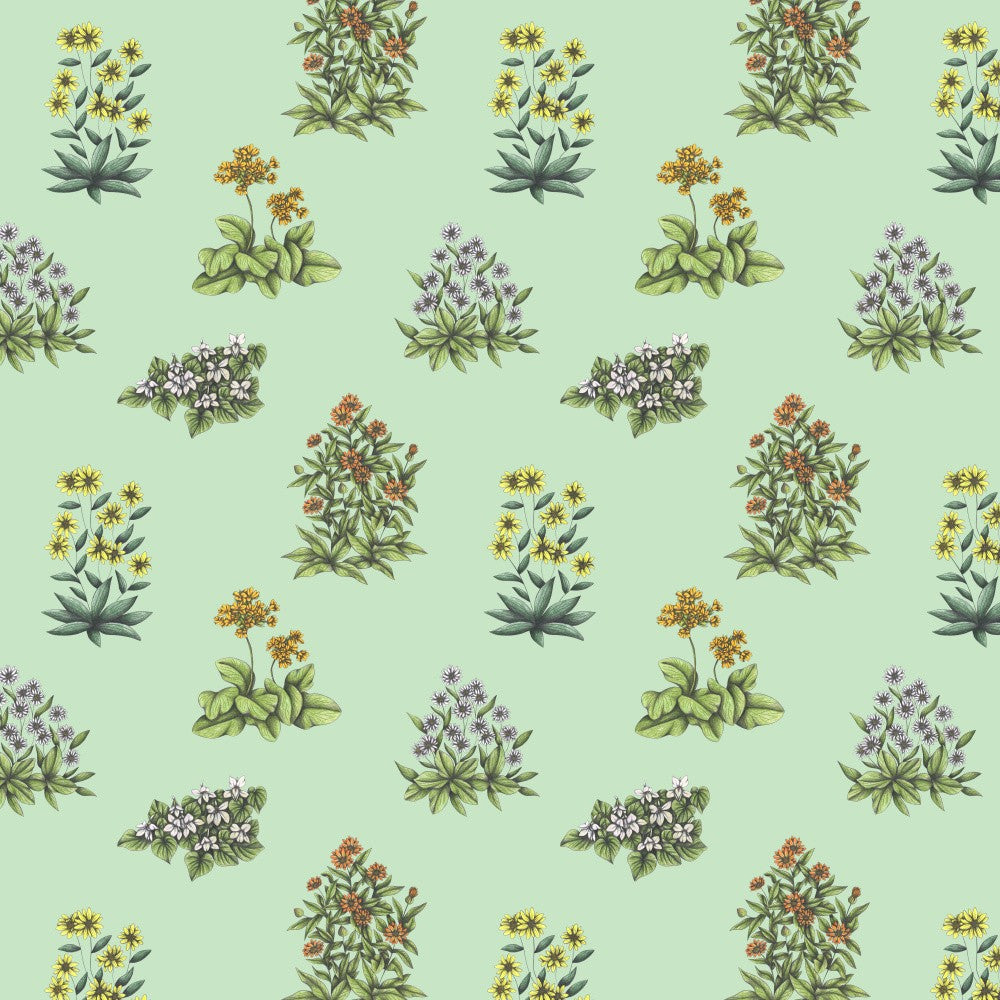Wild Herbs Garden