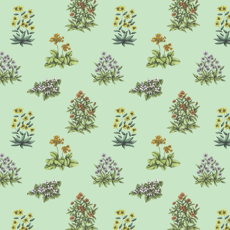 Wild Herbs Garden