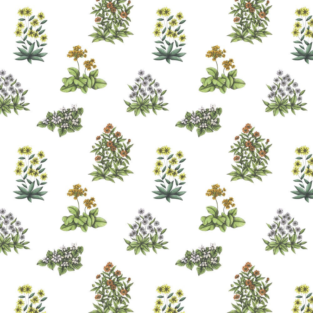 Wild Herbs Garden
