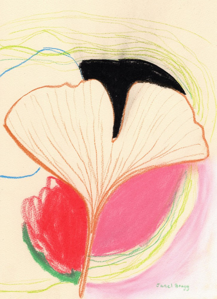 Ginkgo Leaves In Color II