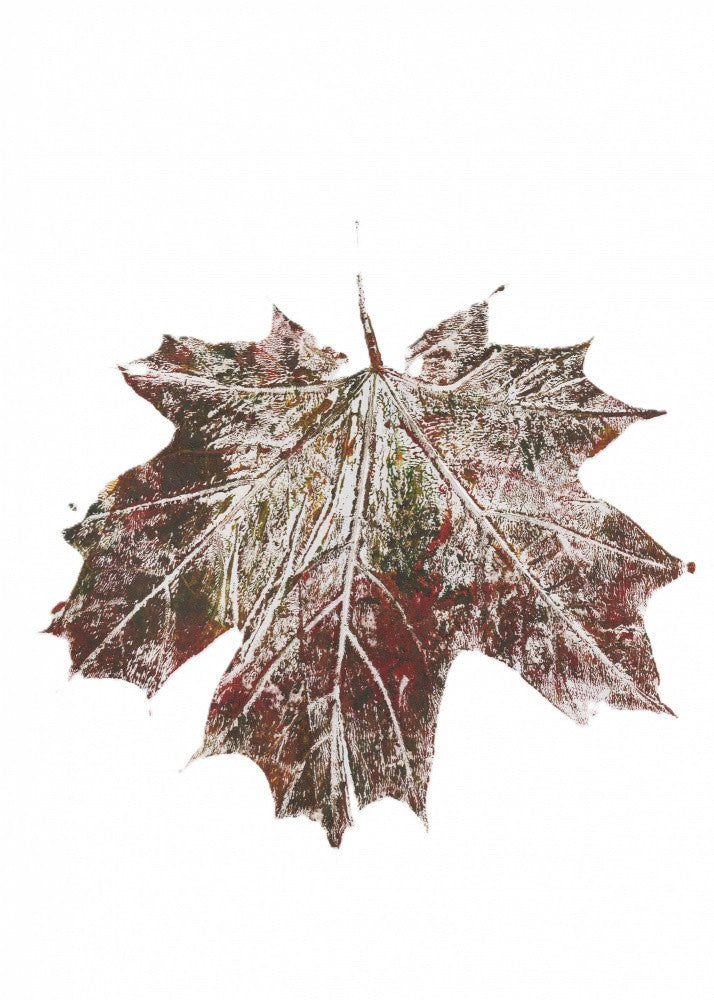 Maple leaf