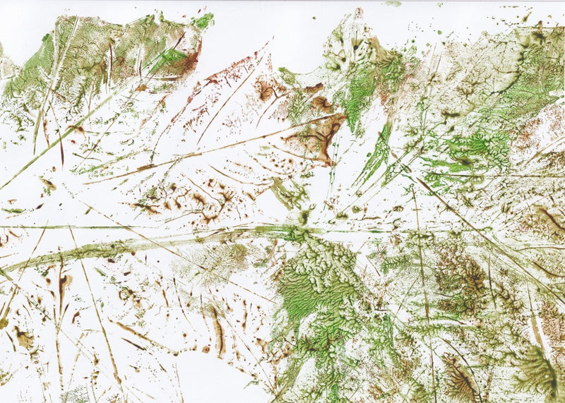 Abstract leaf