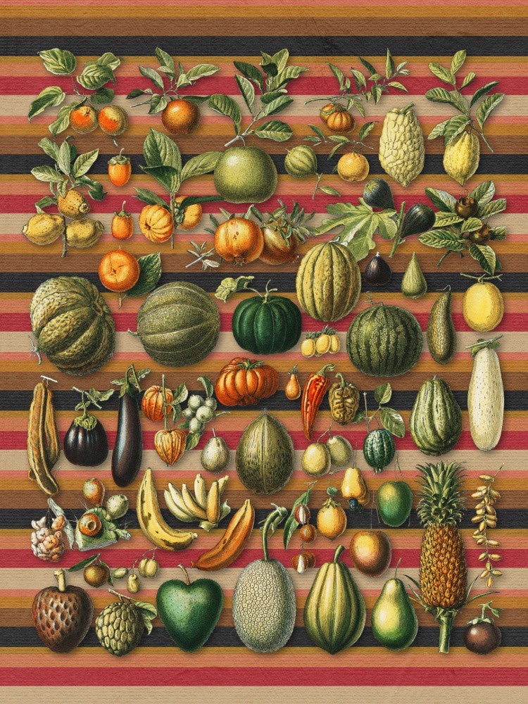 A Collection of Healthy Foods