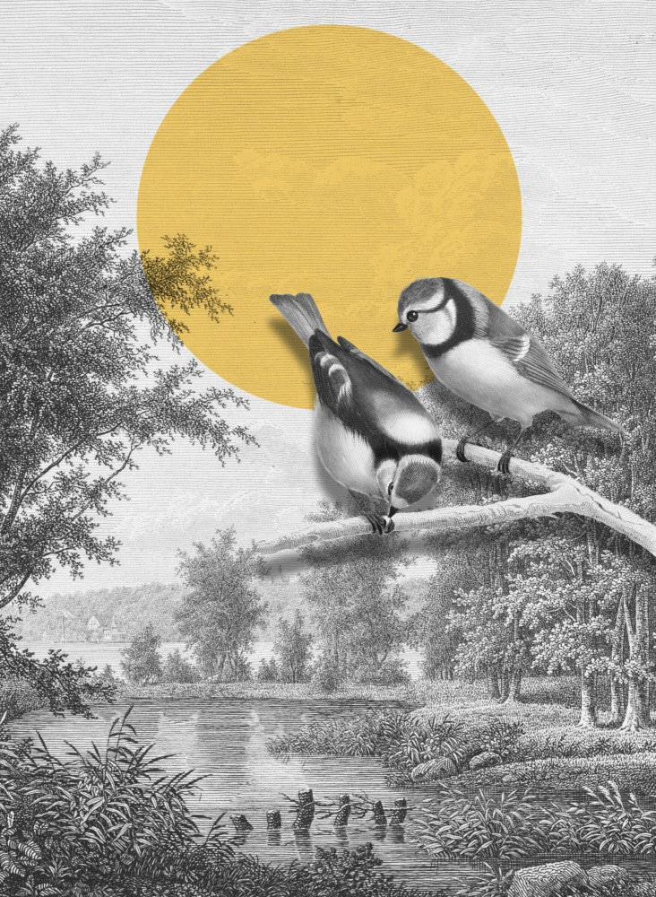 Birds On Branch
