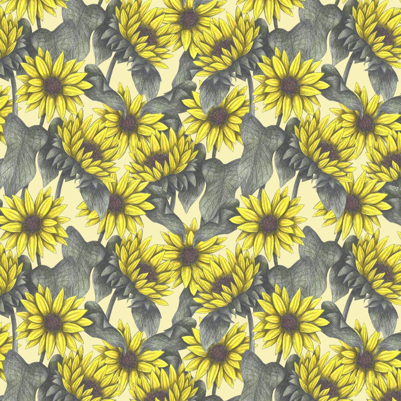 Summer Sunflowers