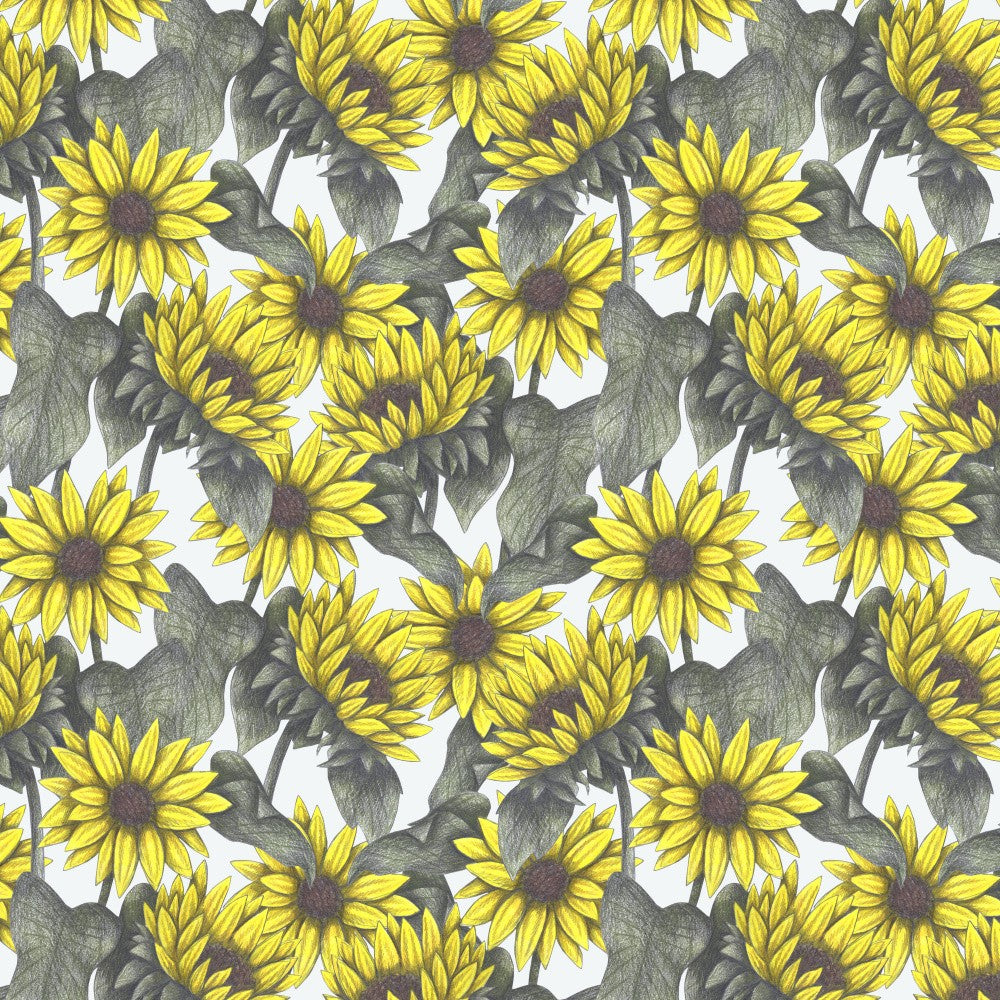 Summer Sunflowers