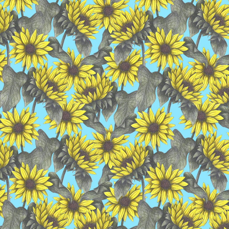 Summer Sunflowers