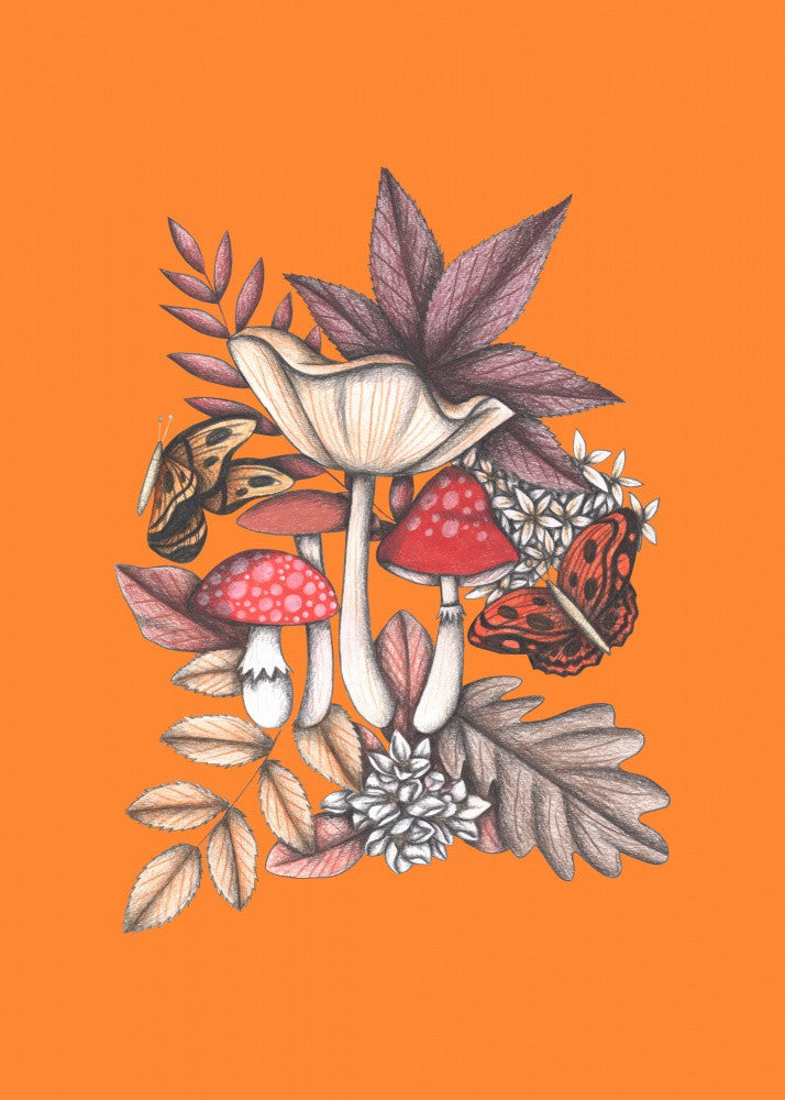 Mushrooms Magic 3