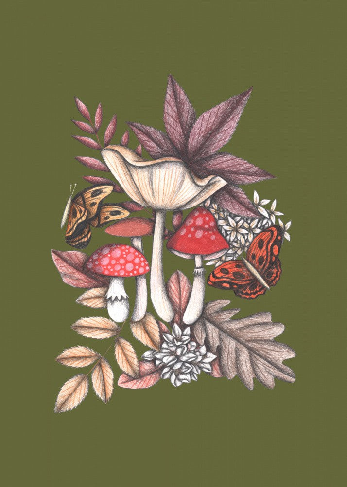 Mushrooms Magic 3