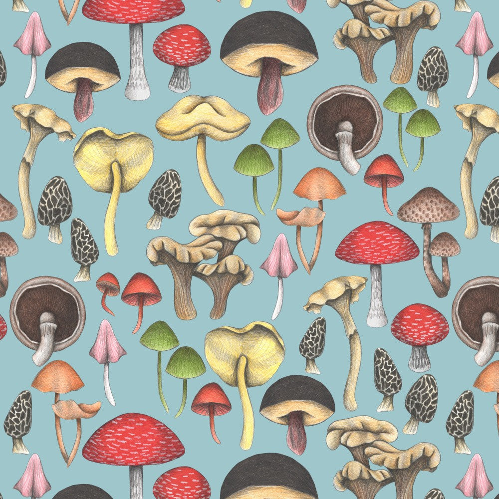 Wild Mushrooms Fantasy