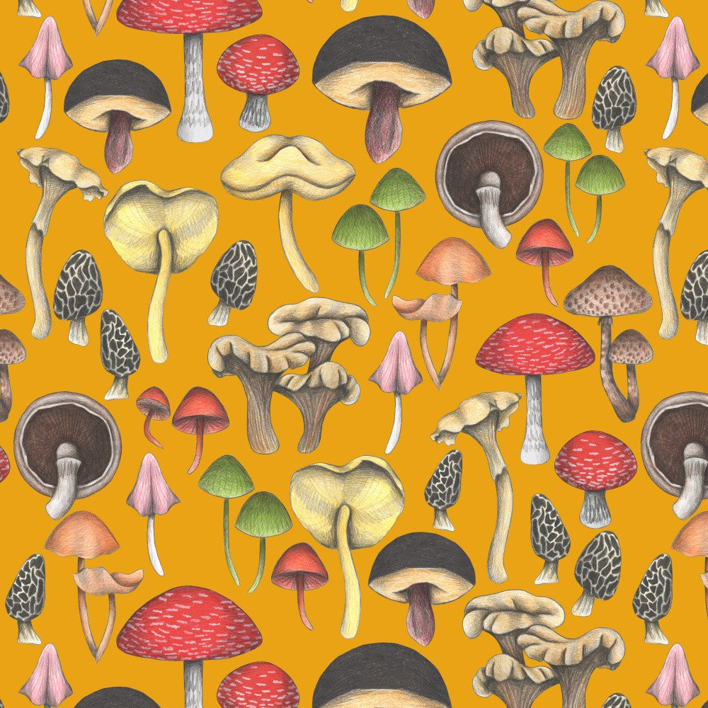 Wild Mushrooms Fantasy