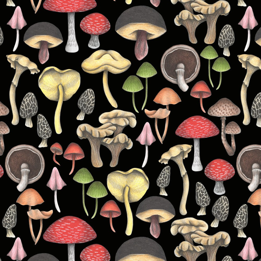 Wild Mushrooms Fantasy
