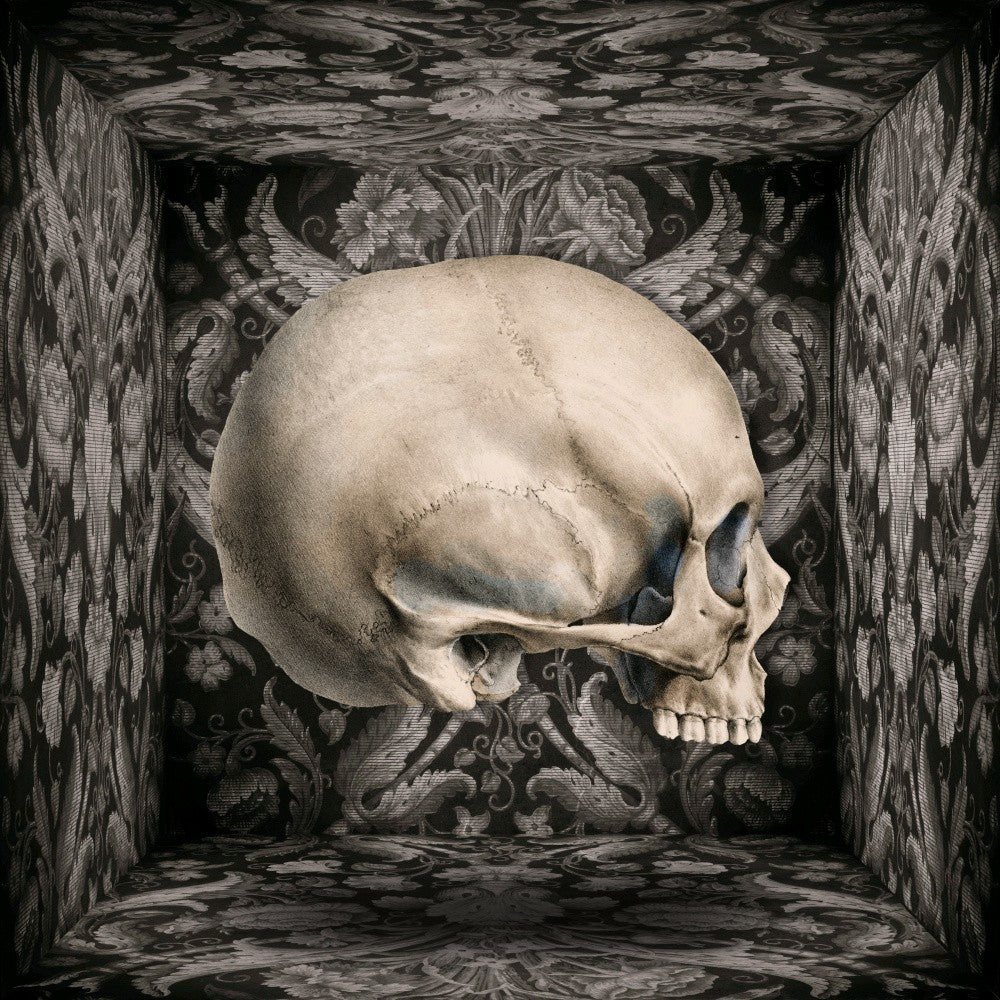 Floating Skull