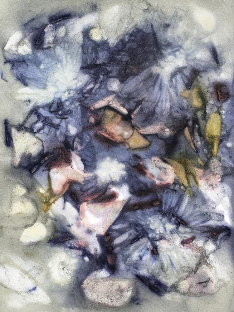 Botanic Print #5