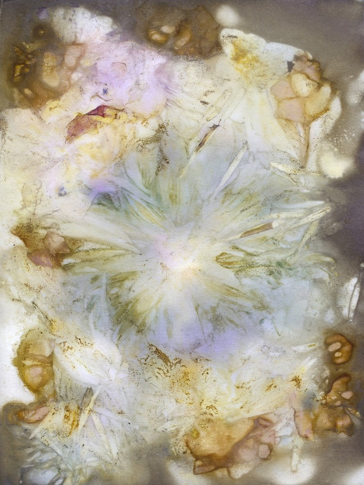 Botanic Print #7