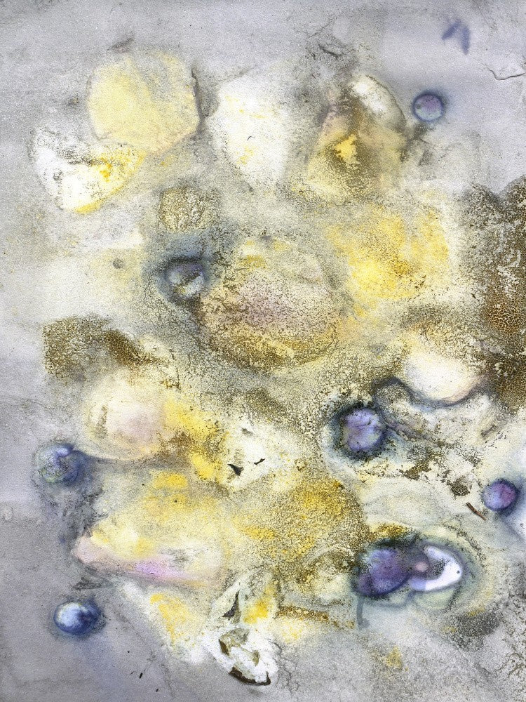 Botanic Print #9