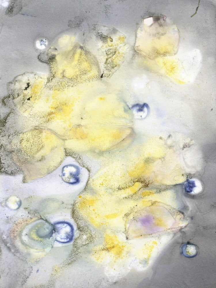 Botanic Print #10