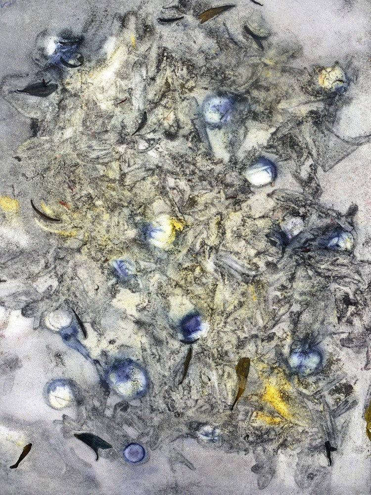 Botanic Print #11