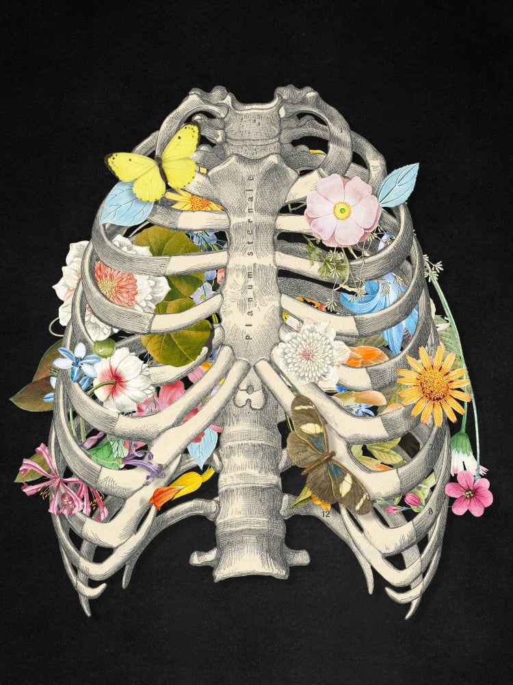 The Nature of Life