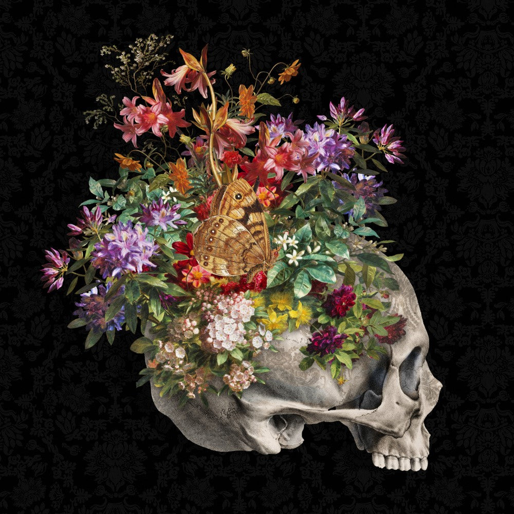 Vanitas Still Life