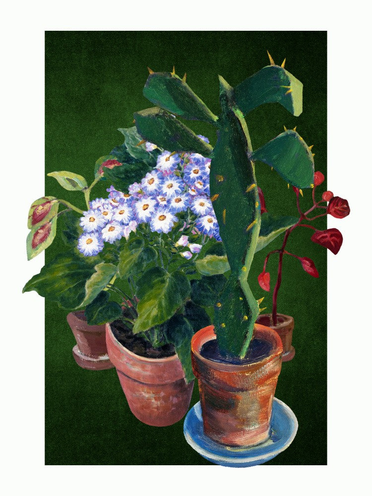 From the Greenhouse