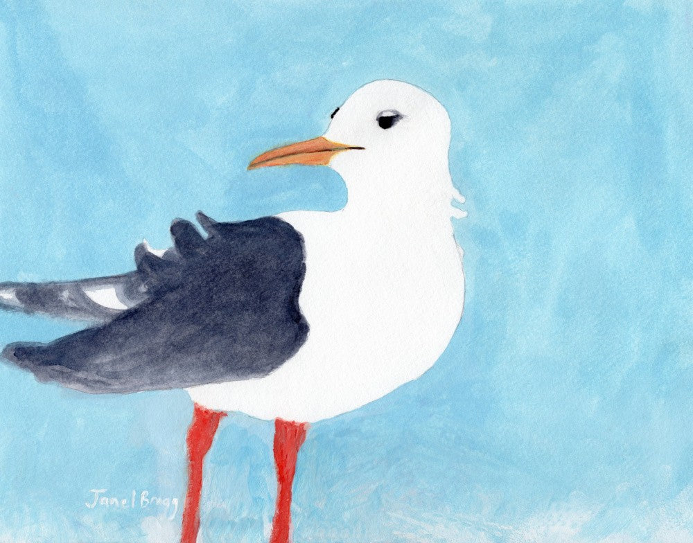 Möwe aus Port Townsend II
