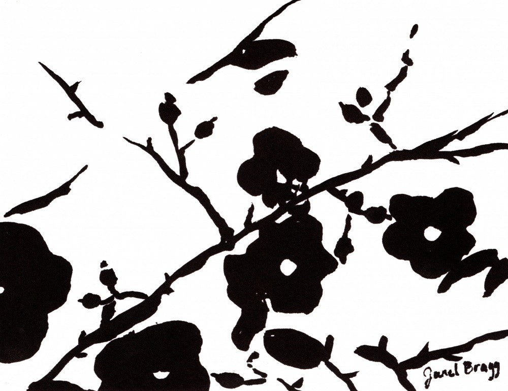 Wild Roses In Black and White
