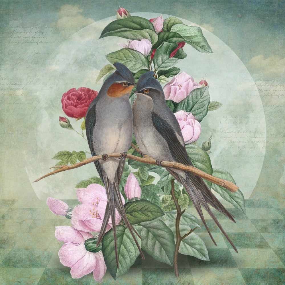 Lovebirds