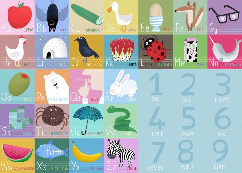 Cute Colorful Alphabet and Counting Illustration