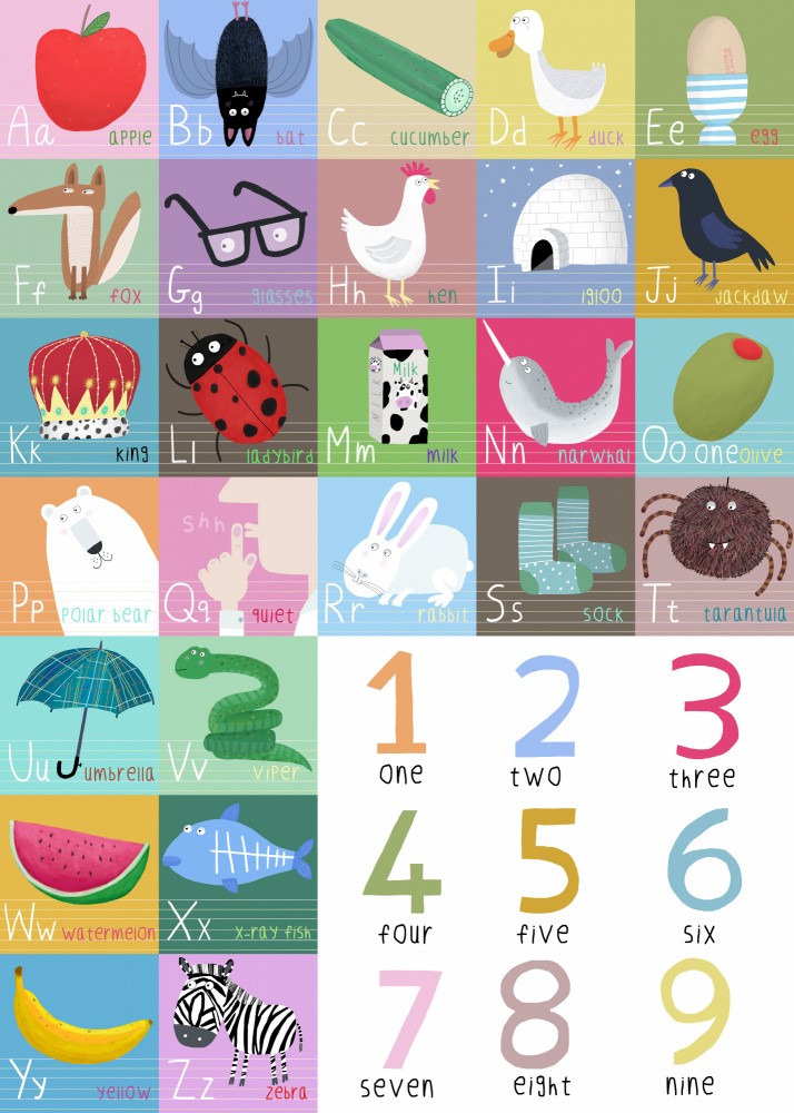 Cute Colorful Alphabet and Counting Illustration
