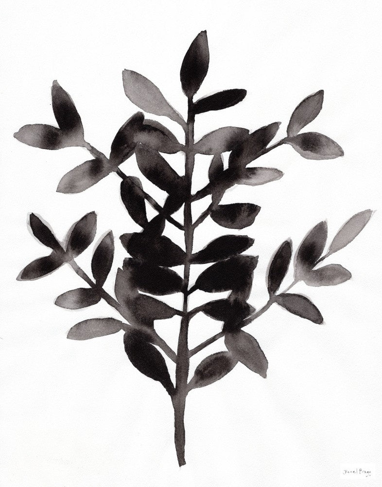 Botanical With Nagi Fern II